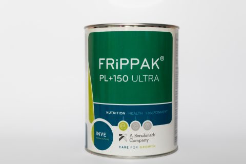 Frippak PL FEEDS